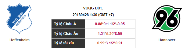 Soi kèo Hoffenheim – Hannover, 01h30 ngày 28-04-2018
