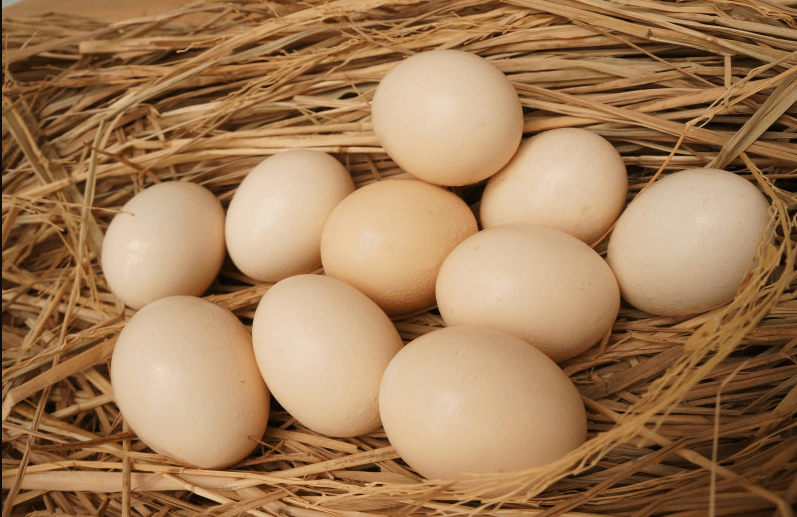 Mơ thấy quả trứng là điềm báo gì và nên đánh lô đề nào? 