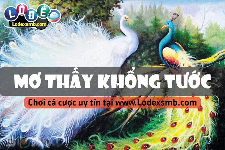 Mơ Thấy Khổng Tước I Giải Mã Giấc Mơ - Đánh Liền Số Này