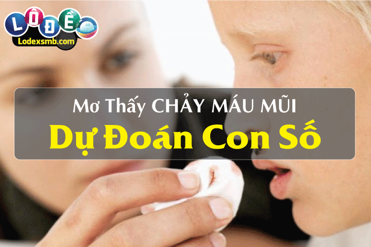 Mơ Thấy Chảy Máu Mũi Là Điềm Báo Gì I Dự Đoán Con Số